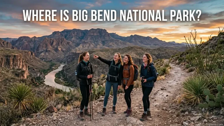where is big bend national park