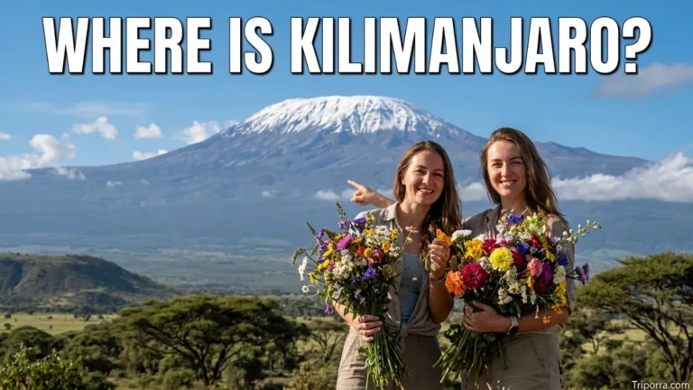 Where Is Kilimanjaro?