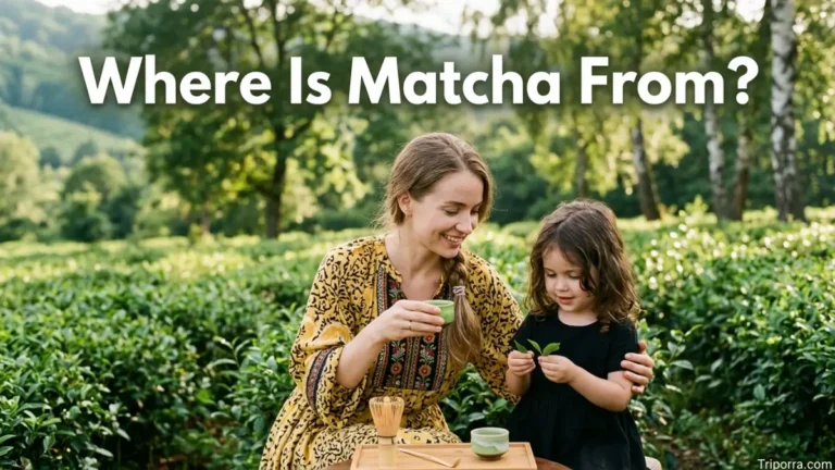 Where Is Matcha From?