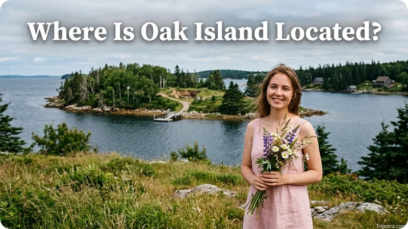 Where Is Oak Island Located?