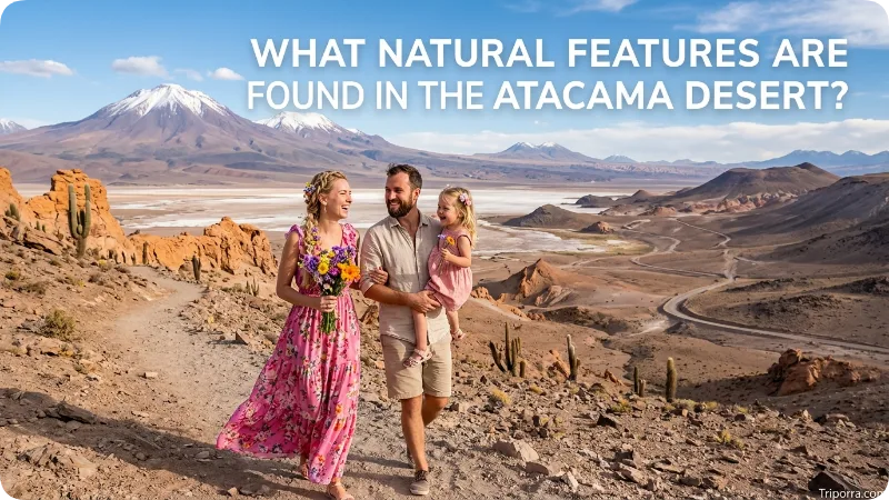 What Natural Features Are Found in the Atacama Desert?