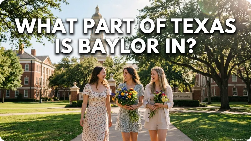 What Part of Texas Is Baylor In?
