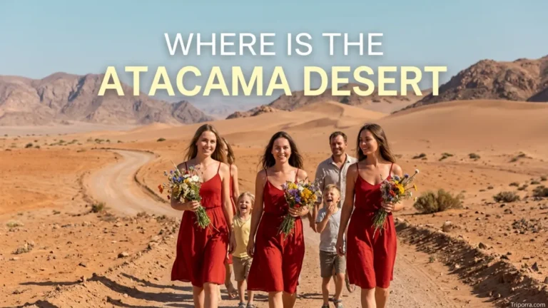 where is the atacama desert